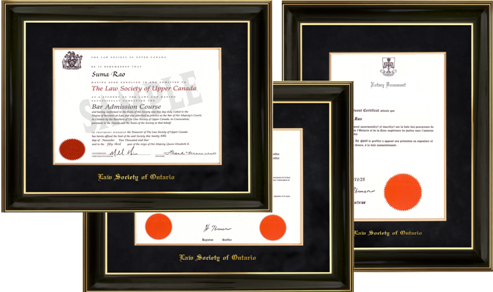 SPECIAL! DELUXE BUNDLE PACKAGE OF 3 FRAMES (9809BG-BLKV - law degree, court cert. & notary doc.)